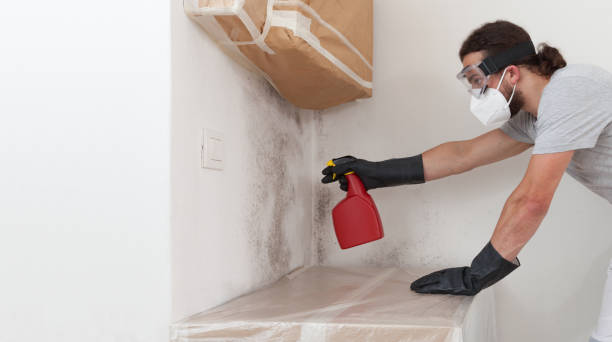 Professional Mold Inspection And Testing technician working in Bunnlevel, NC